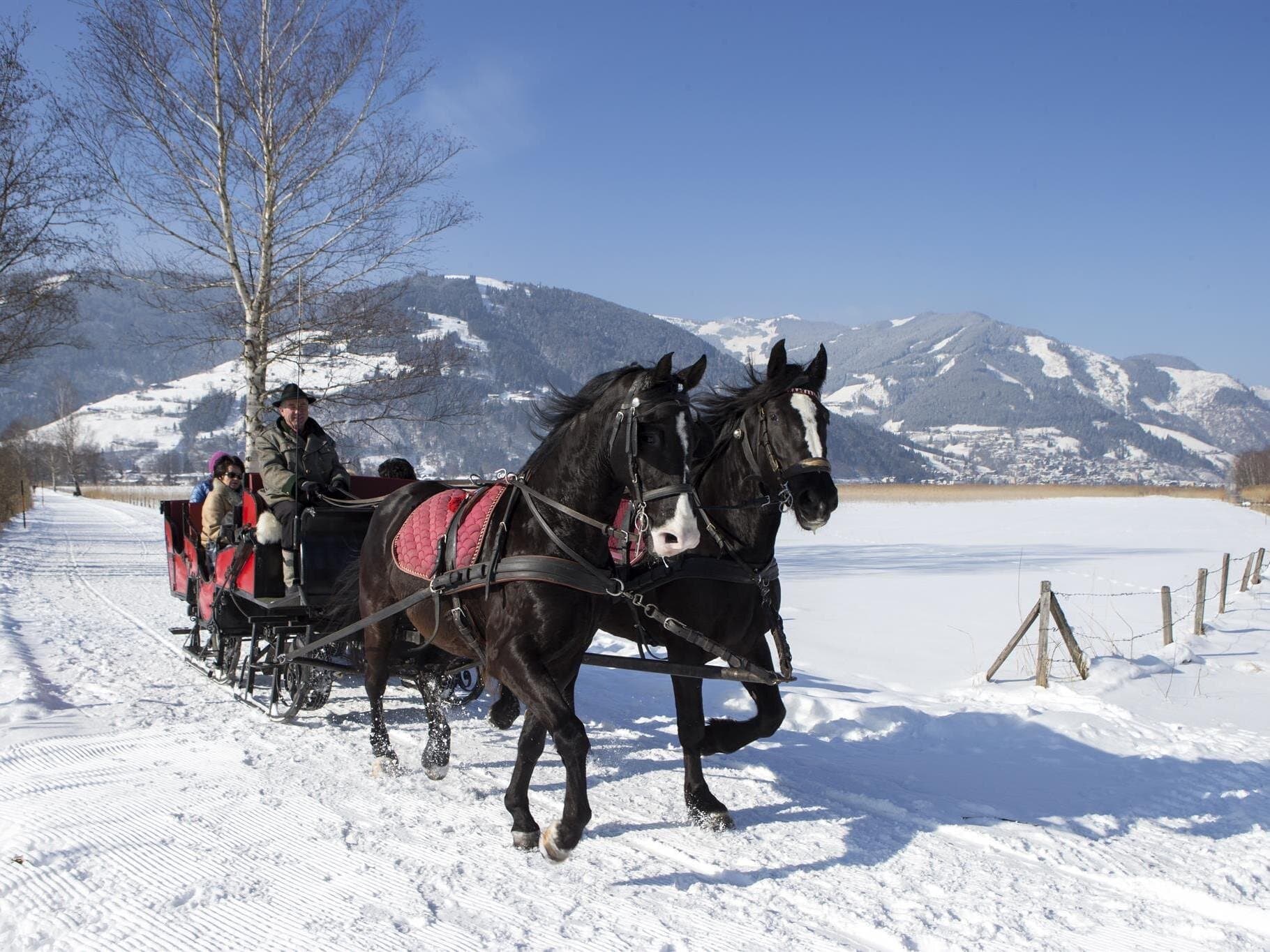 Paardenslee-tochten Zell am See-Kaprun